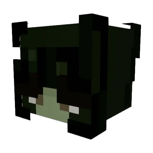 Bra1nrotz Minecraft avatar head, 3D render
