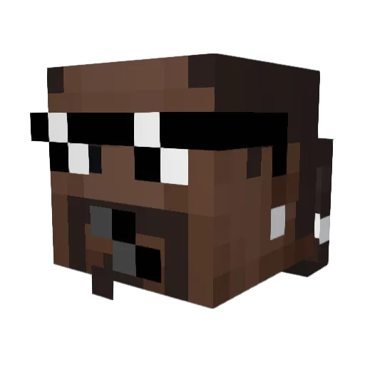 BraDevRay121 Minecraft avatar head, 3D render