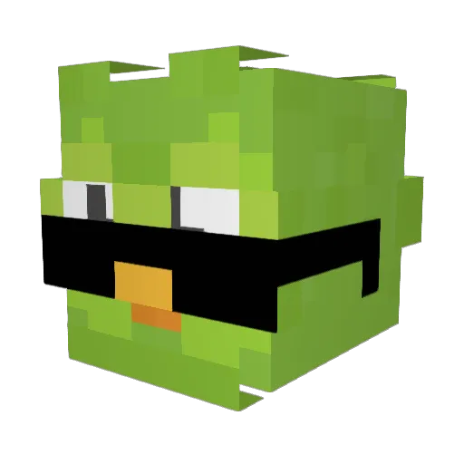 BraDu24 Minecraft avatar head, 3D render