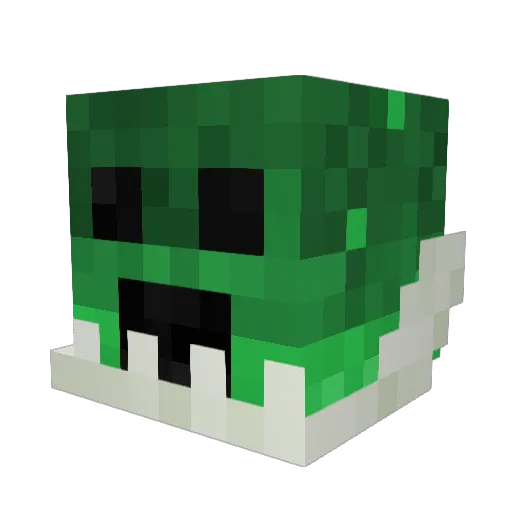 Braaibroodjie Minecraft avatar head, 3D render