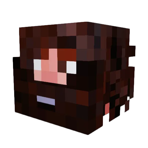 BrabblingBeard Minecraft avatar head, 3D render