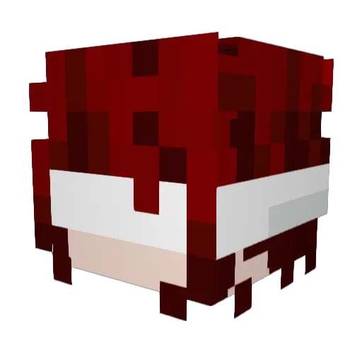 BraceAmaBifee Minecraft avatar head, 3D render
