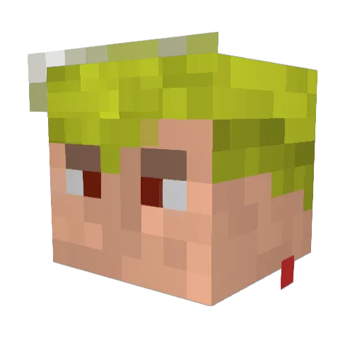 Bracheda Minecraft avatar head, 3D render