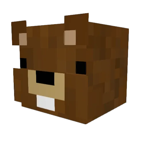 Bracherhawk Minecraft avatar head, 3D render