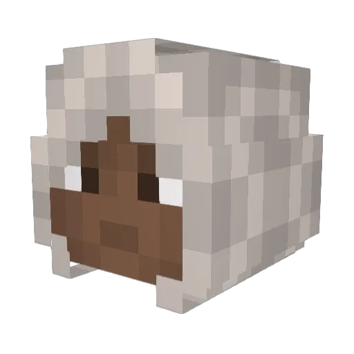 Brachy730 Minecraft avatar head, 3D render