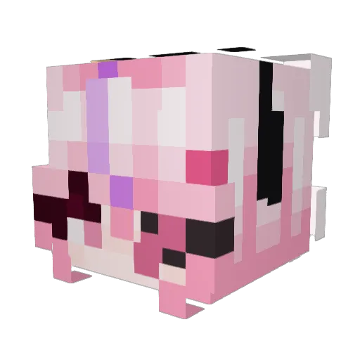 BrackBrack228 Minecraft avatar head, 3D render
