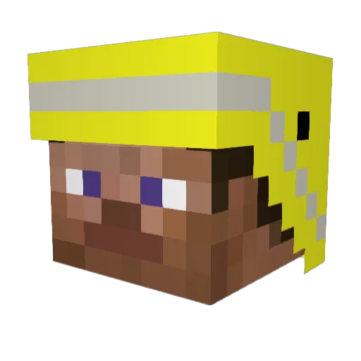 Bracki2000 Minecraft avatar head, 3D render