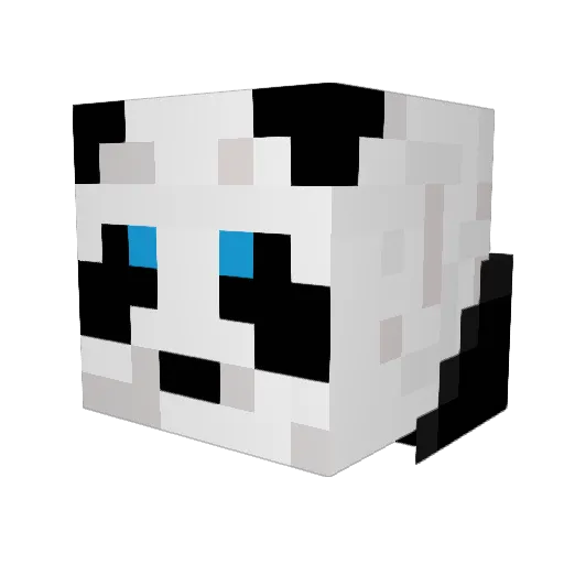BrackinS Minecraft avatar head, 3D render