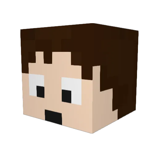 Brad1027 Minecraft avatar head, 3D render