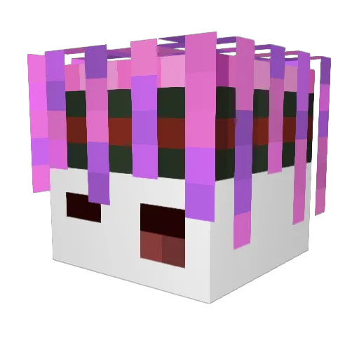 Brad764 Minecraft avatar head, 3D render