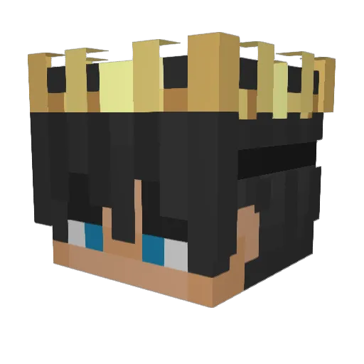 BradBurn Minecraft avatar head, 3D render