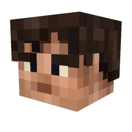BradWhy Minecraft avatar head, 3D render