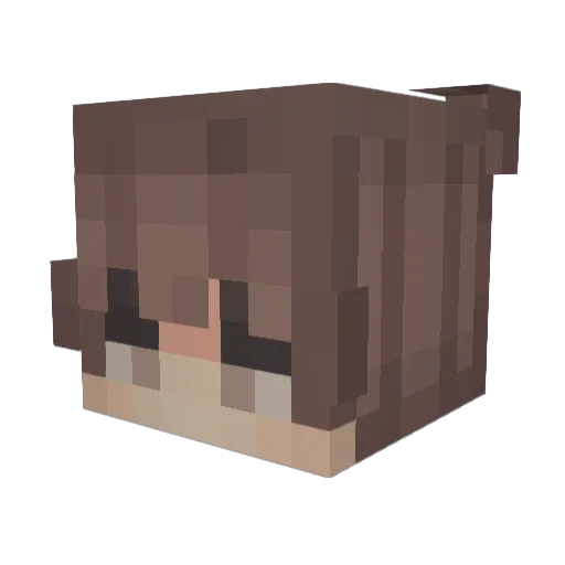 Brad_8 Minecraft avatar head, 3D render