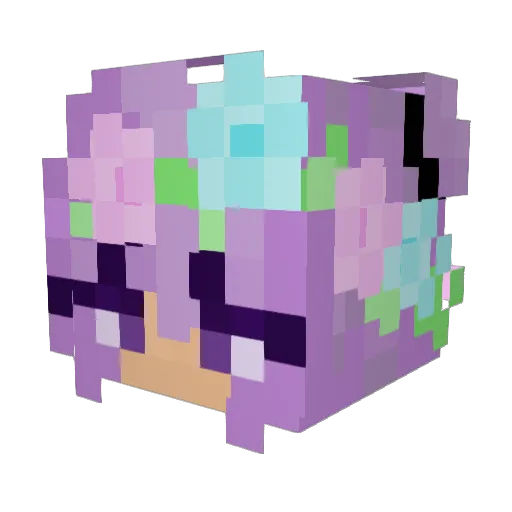 Bradealer23 Minecraft avatar head, 3D render