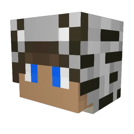 Bradf0rd Minecraft avatar head, 3D render
