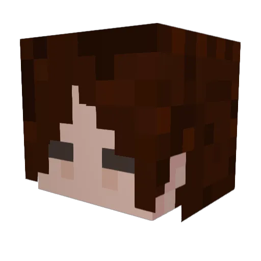 Bradfrad Minecraft avatar head, 3D render