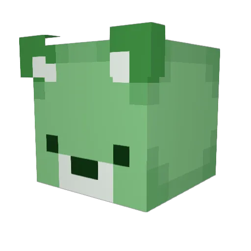 Braditation Minecraft avatar head, 3D render