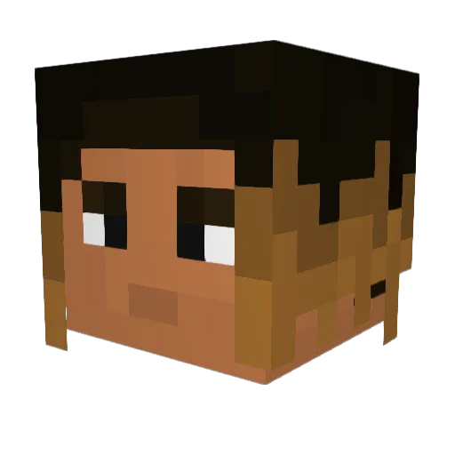 BradleyBarcola Minecraft avatar head, 3D render