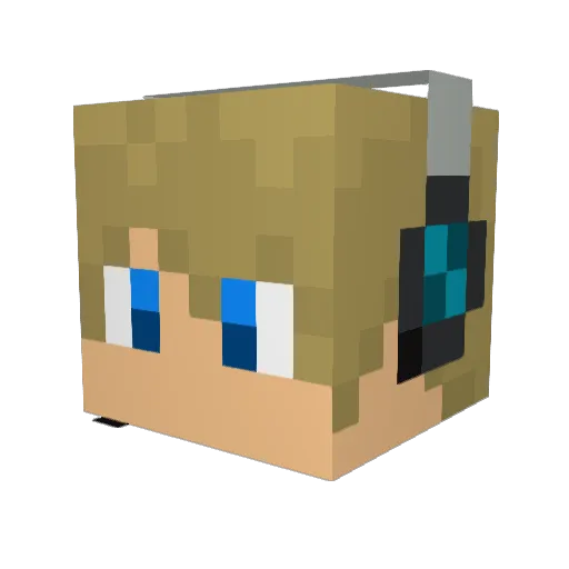 BradleyBuckets Minecraft avatar head, 3D render