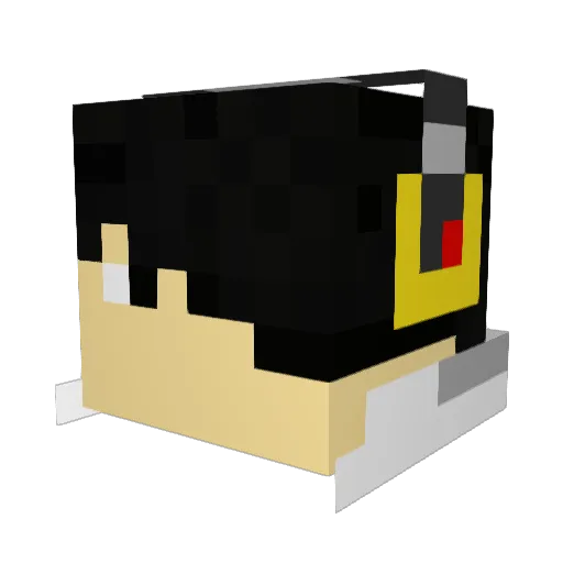 BradleyEinstein Minecraft avatar head, 3D render