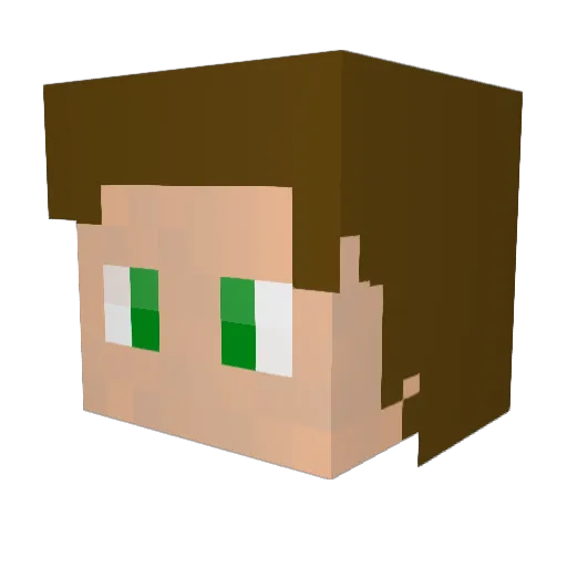 BradleyTiger Minecraft avatar head, 3D render