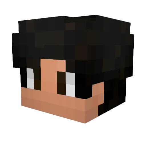 BradleyWT Minecraft avatar head, 3D render