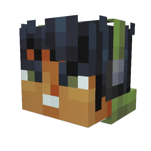 Bradlyballs Minecraft avatar head, 3D render