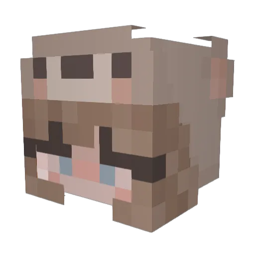 Bradman2015 Minecraft avatar head, 3D render