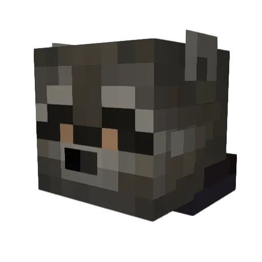 Bradpit0l Minecraft avatar head, 3D render