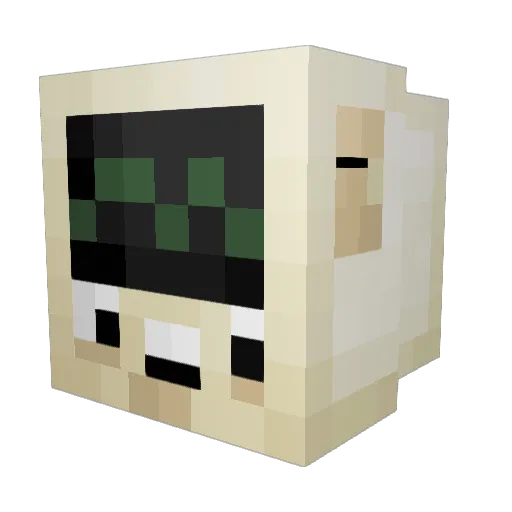 Braduel Minecraft avatar head, 3D render