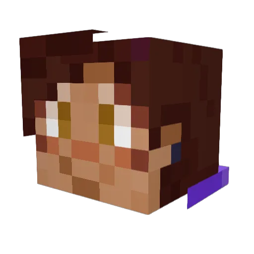 Bradx38 Minecraft avatar head, 3D render