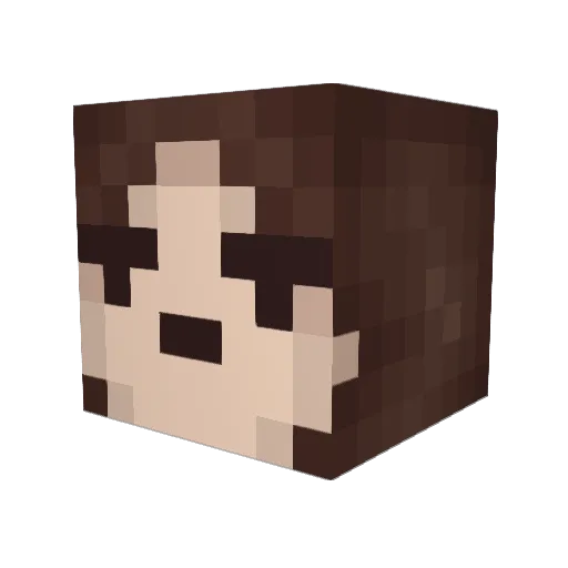 Brady1993 Minecraft avatar head, 3D render