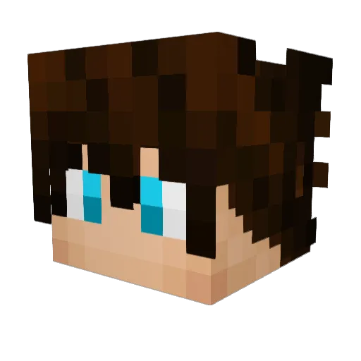 Brady220 Minecraft avatar head, 3D render