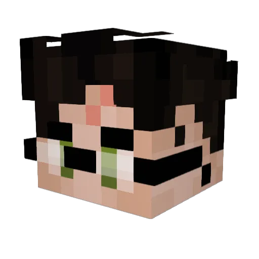 BradyBear2017 Minecraft avatar head, 3D render