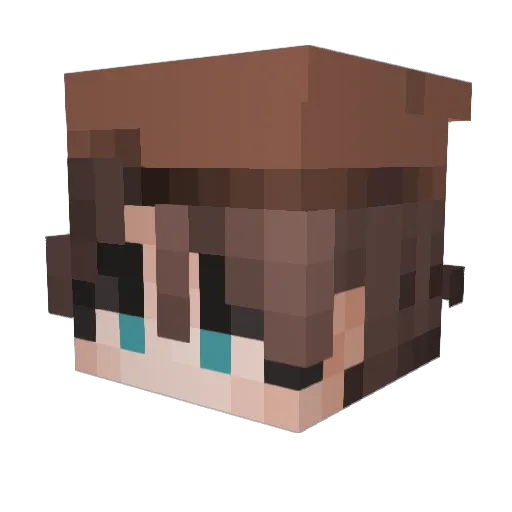 BradyDavis Minecraft avatar head, 3D render