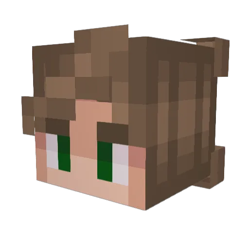 BradyHasContent Minecraft avatar head, 3D render
