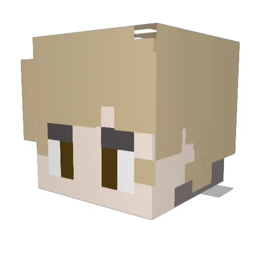 BradyOSM Minecraft avatar head, 3D render