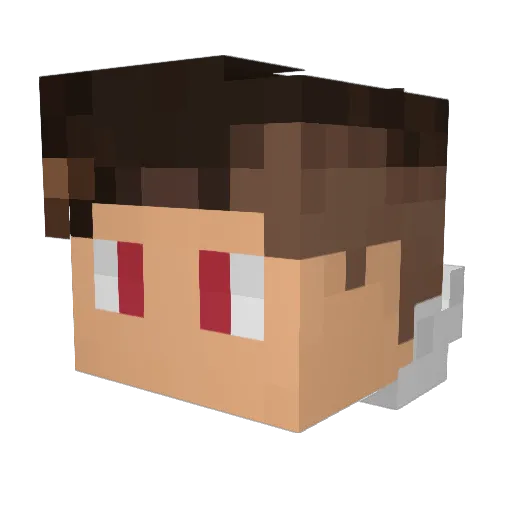 BradyP7 Minecraft avatar head, 3D render