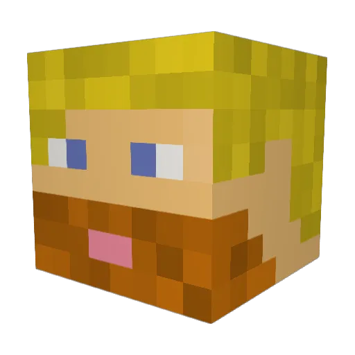 BradySwan Minecraft avatar head, 3D render