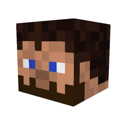 Brady_16 Minecraft avatar head, 3D render