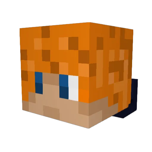 Bradyblaze6215 Minecraft avatar head, 3D render