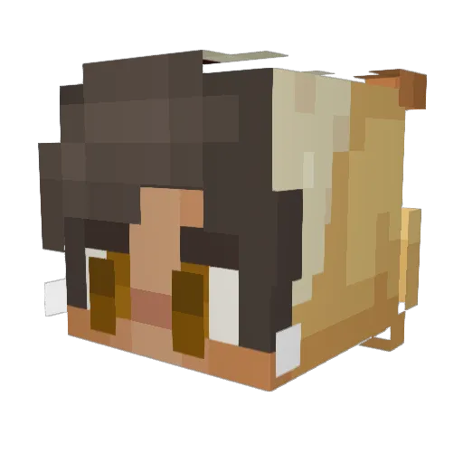 Bradygotcake Minecraft avatar head, 3D render