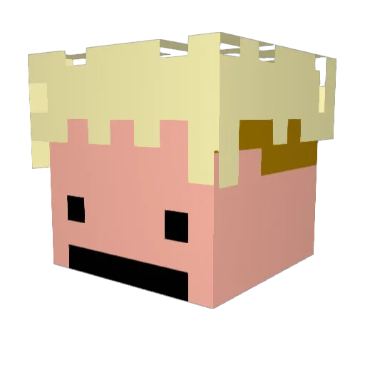Bradylol Minecraft avatar head, 3D render