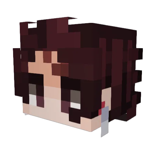 Bradyonconsole Minecraft avatar head, 3D render
