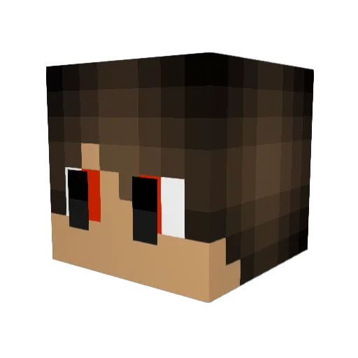 Bradyong Minecraft avatar head, 3D render