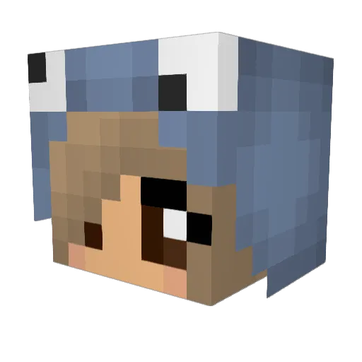 Braedens Minecraft avatar head, 3D render