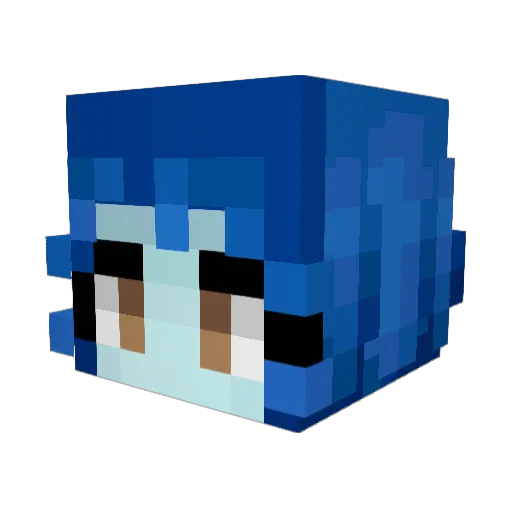 Braemma Minecraft avatar head, 3D render
