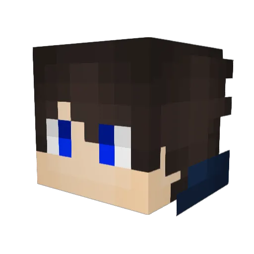 BragCoder527120 Minecraft avatar head, 3D render