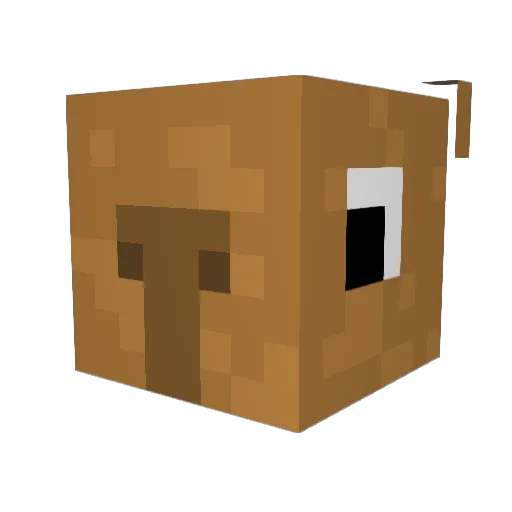 Braga_11 Minecraft avatar head, 3D render