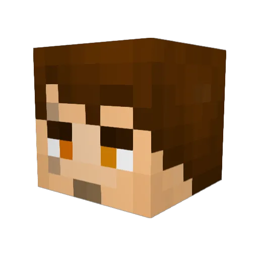 BraiWai Minecraft avatar head, 3D render